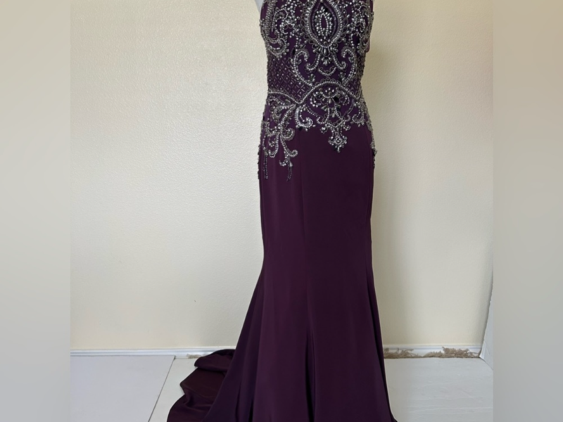 Lucci Lu long halter neck gown size 8