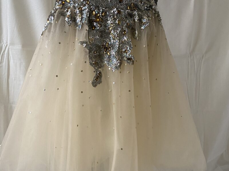 Preowned JoVani gown size 12 but altered to fit petite 2-4