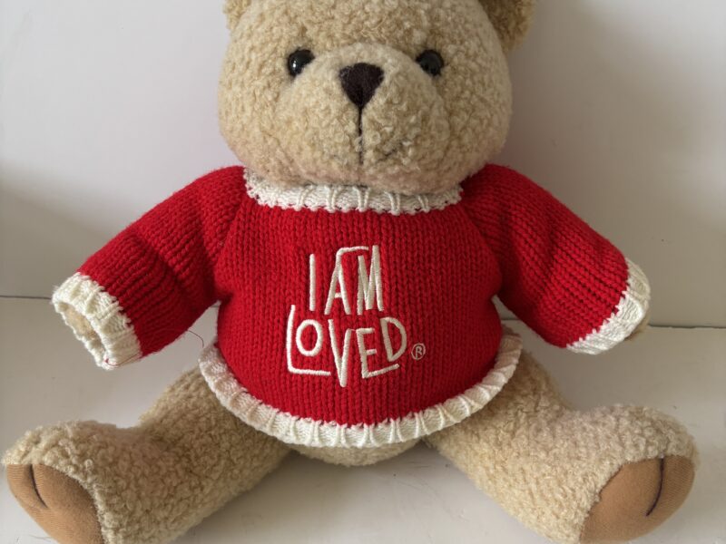 Teddy Bear by Helzberg Diamonds wears I Am Loved sweater