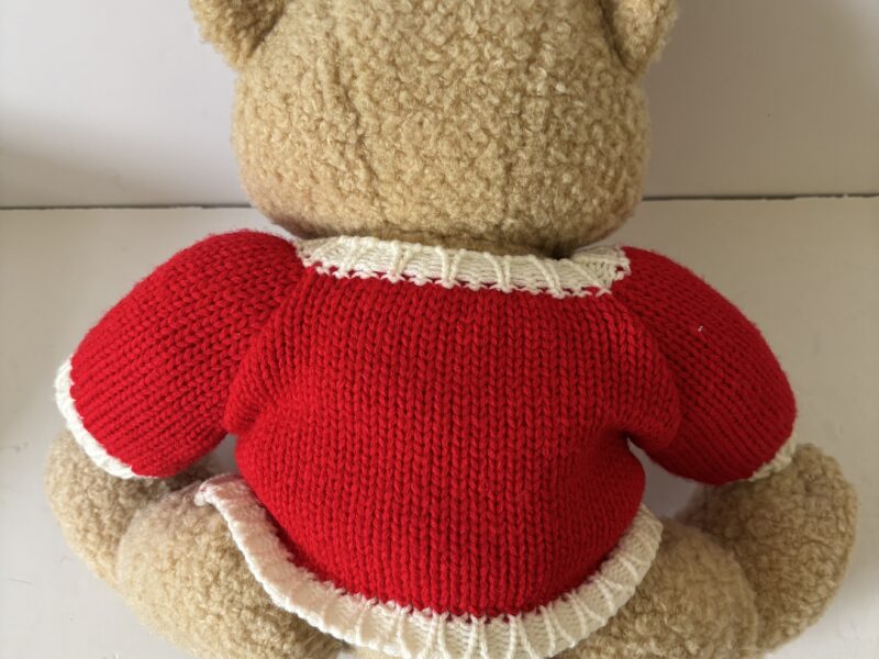 Teddy Bear by Helzberg Diamonds wears I Am Loved sweater