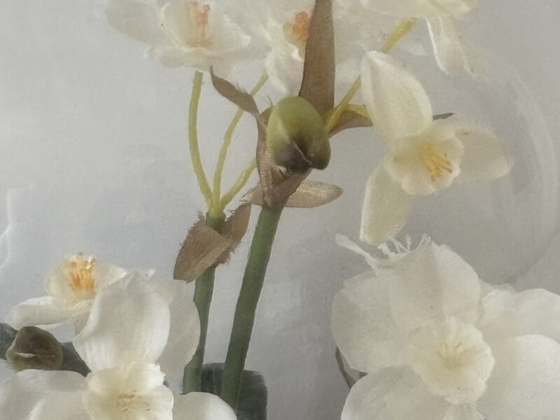 Floral display under clear glass dome cloche