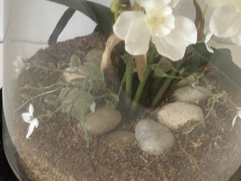 Floral display under clear glass dome cloche