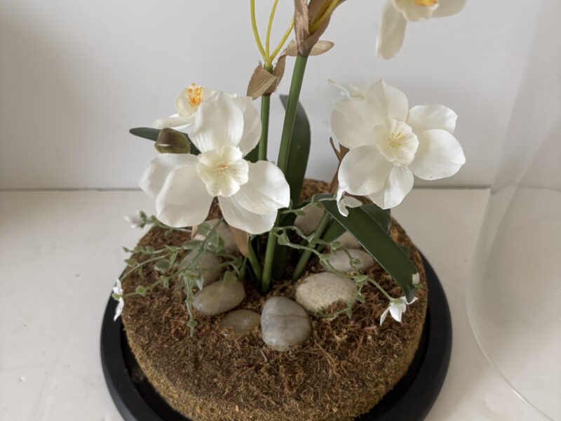 Floral display under clear glass dome cloche