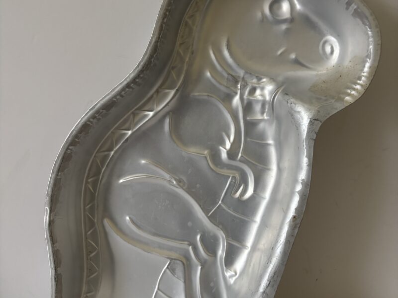 16" Tyrannosaurus Rex Aluminum Mold
