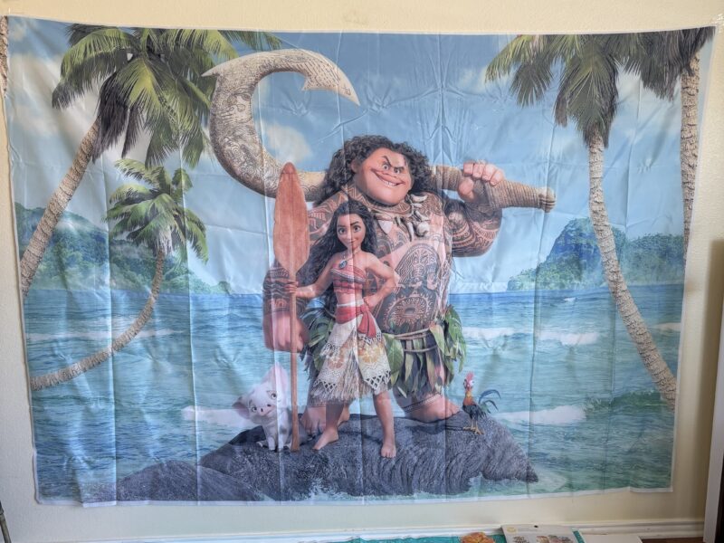 Hawaiian Luau party supplies Moana backdrop coconut banner 75+ pcs