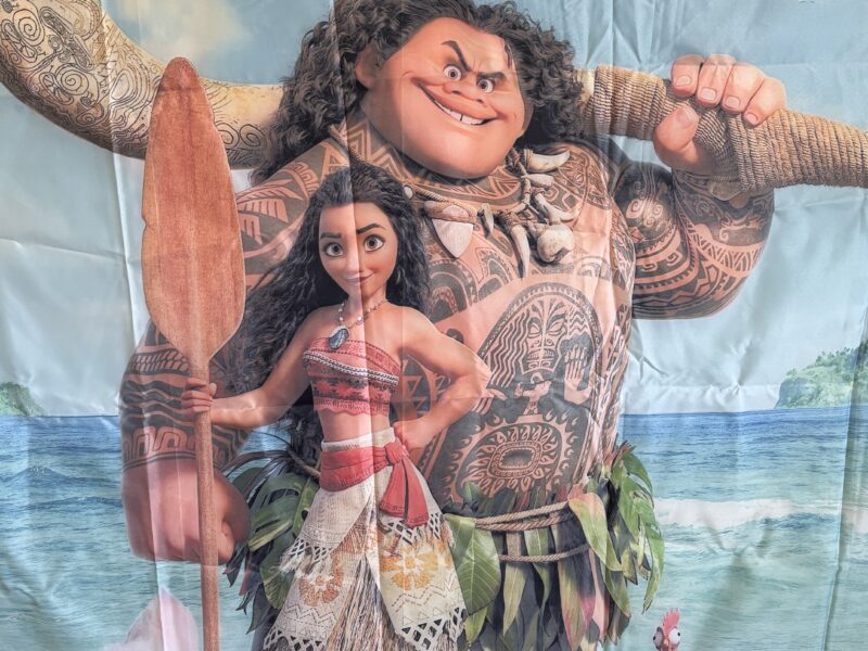 Hawaiian Luau party supplies Moana backdrop coconut banner 75+ pcs
