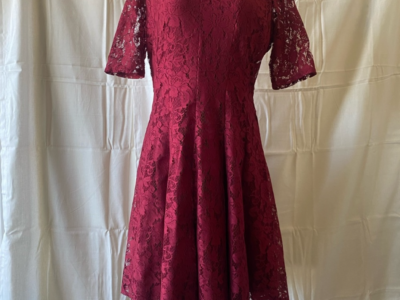 Preowned lace dress size 12 junior Danny & Nicole