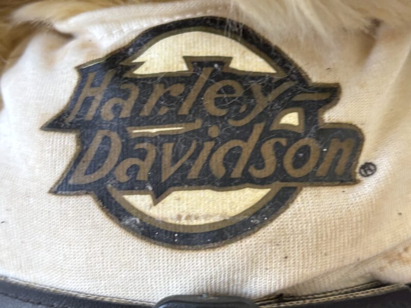 Harley Davidson 14" plush teddy bear