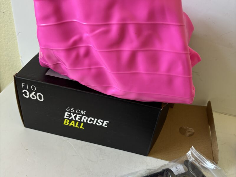 FLO 360 pink 65cm Exercise Ball NIB