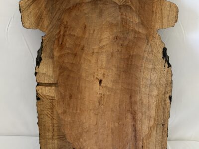 Rastafarian Man Head sculpture on wood Jamaican Art