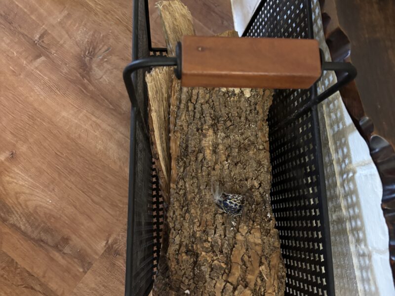 Fireplace Log rest / black metal log basket with wooden handle